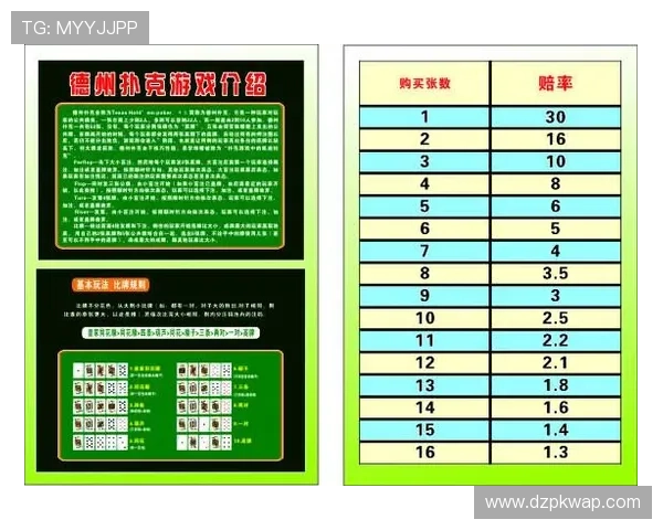 德州扑克app电脑版安全性及支付方式全面评测与使用建议